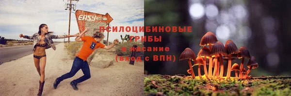 mdpv Пересвет