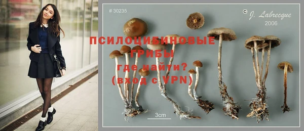 mdpv Пересвет