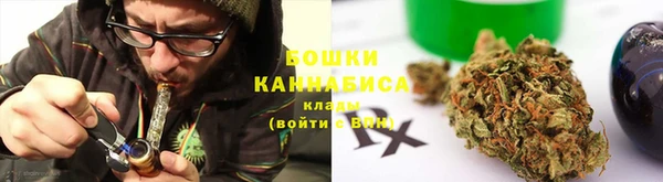индика Армянск