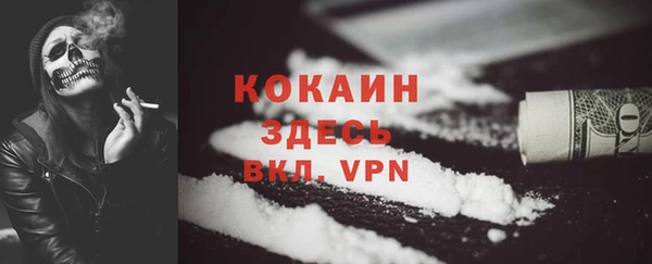 индика Армянск