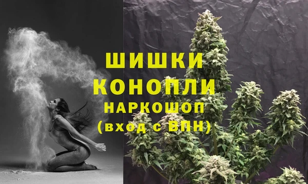 ГАЛЛЮЦИНОГЕННЫЕ ГРИБЫ Переславль-Залесский