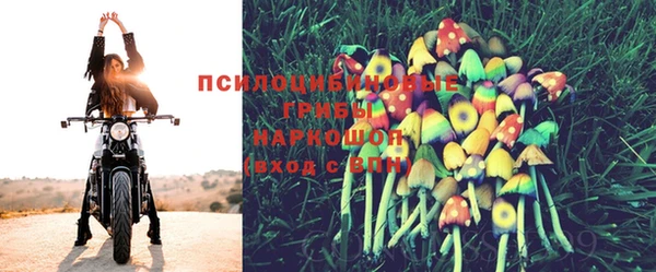 индика Армянск