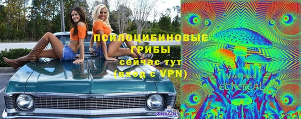 индика Армянск