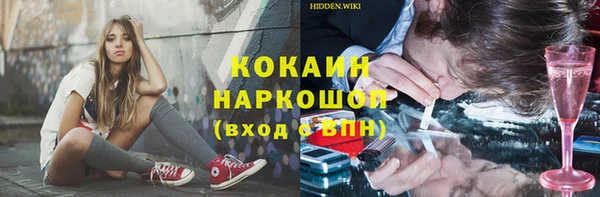 индика Армянск
