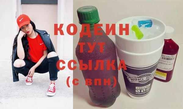 индика Армянск